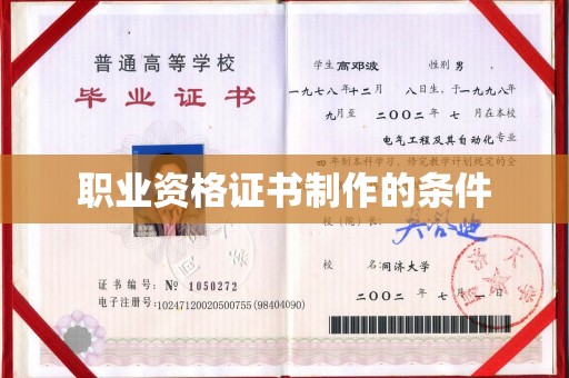 龙陵职业资格证书制作的条件